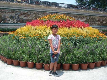 Kasen with beautiful flowers